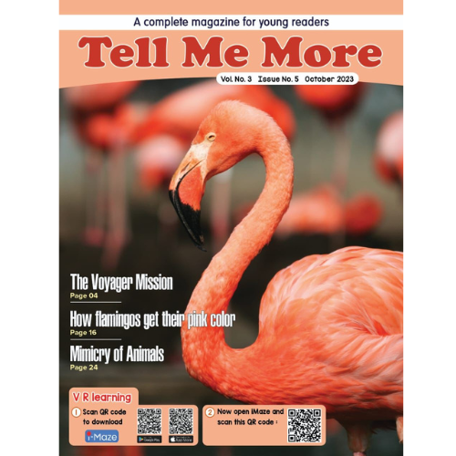 Tell Me More – Magazine