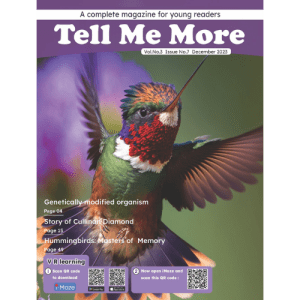 Tell Me More Magazine