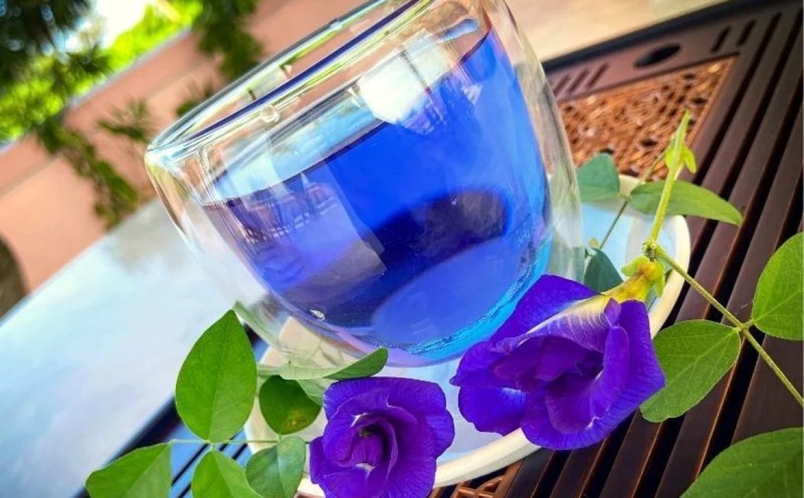 Butterfly-Pea-Flower-Tea-in-a-Glass